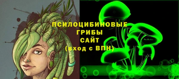 PSILOCYBIN Алзамай